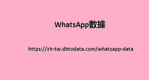 WhatsApp數據